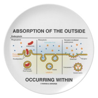 Absorption Of The Outside Occurring Within Plates