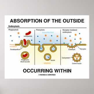 Absorption Of The Outside Occurring Within Poster