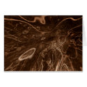 Abstract #11 cards by ascript Abstract #11 cards