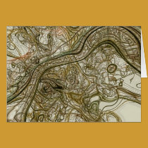 Abstract #145 cards