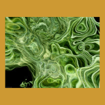 Abstract #147d posters