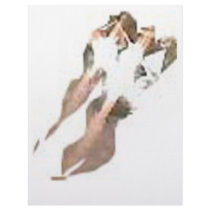 ABSTRACT 2 letterhead