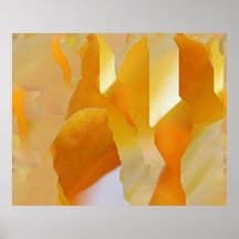 Abstract 51 poster