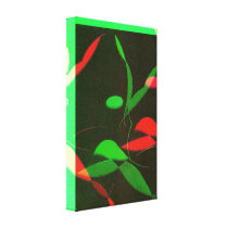 Abstract Aerobic Dance Wrapped Canvas Print