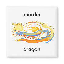 abstract art bearded dragon magnet