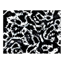 Abstract Art Poster Wild About Black White posters