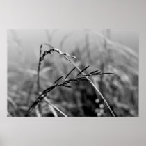 Abstract b/w photography posters