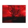 Abstract Bald Tree Post Cards
