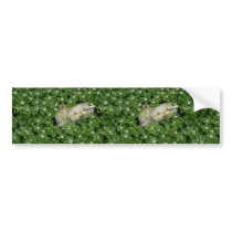 Abstract Birch bark and bunchberry flowers Bumper Stickers