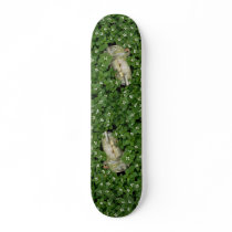 Abstract Birch bark and bunchberry flowers Custom Skate Board