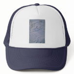 Abstract Bird tracks and feather imprint in the sn hats