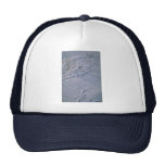 Abstract Bird tracks and feather imprint in the sn Trucker Hats