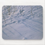 Abstract Bird tracks and feather imprint in the sn mousepads