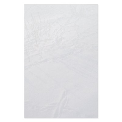 Abstract Bird tracks and feather imprint in the sn Stationery Design by inspirelove