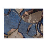 Abstract Blistered automotive paint Postcard
