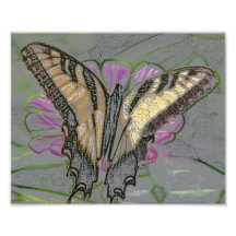Abstract Butterfly Photo