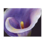 Abstract Calla Postcards