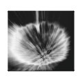 abstract wrappedcanvas