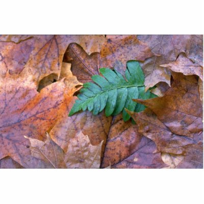 Abstract Christmas fern and autumn leaves Photo Sculpture by inspirelove