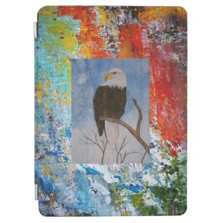 Abstract Colors iPad Air Cover