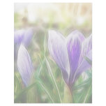 Abstract - Crocus Flowers Letterhead Design