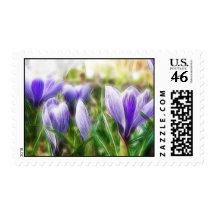 Abstract - Crocus Flowers Stamp