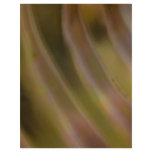Abstract Curve flyers