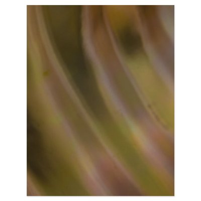 Abstract Curve Letterhead Design by sruhs