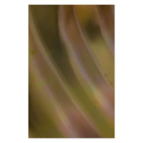 Abstract Curve Personalized Stationery