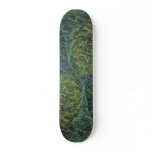 Abstract Detail of spruce and balsam fir forest Skate Deck