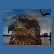 Abstract Eagle Canvas posters