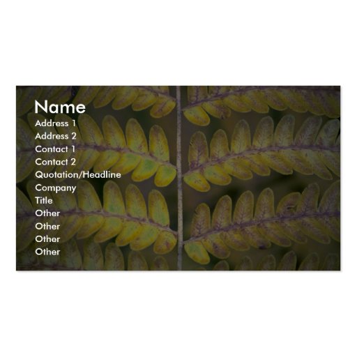 Abstract Fern detail Business Cards (front side)