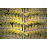 Abstract Fern detail Photo Sculpture