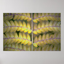 Abstract Fern detail Poster
