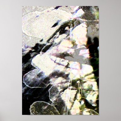 Abstract Flower and Branches Poster by ciararachel