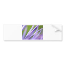 abstract flower, from the flower gift collection bumper stickers
