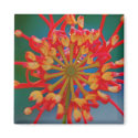 Abstract Flower Magnet by pulsDesign Abstract Flower Magnet