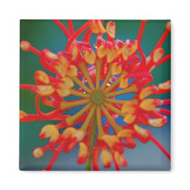 Abstract Flower Magnet by pulsDesign Abstract Flower Magnet