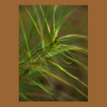 Abstract Foliage Poster Print