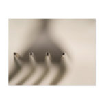 Abstract Fork Postcard