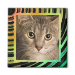 abstract frame magnets
