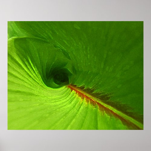 Abstract Ginger Leaf Spiral Poster