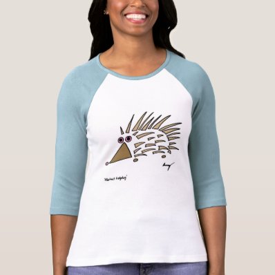 Abstract Hedgehog Womens Raglan T-Shirt