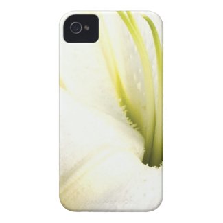 Abstract Lily Close Up iPhone 4 case