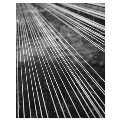 Abstract lines personalized flyer by gavila_pt