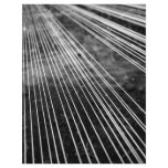 Abstract lines personalized flyer