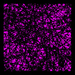 Abstract Lines - Magenta posters