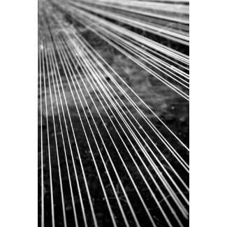 Abstract lines print
