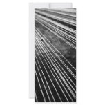Abstract lines full color rack card