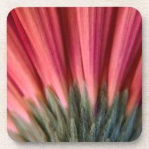 Abstract Macro Red and Pink Gerbera Flower Coaster